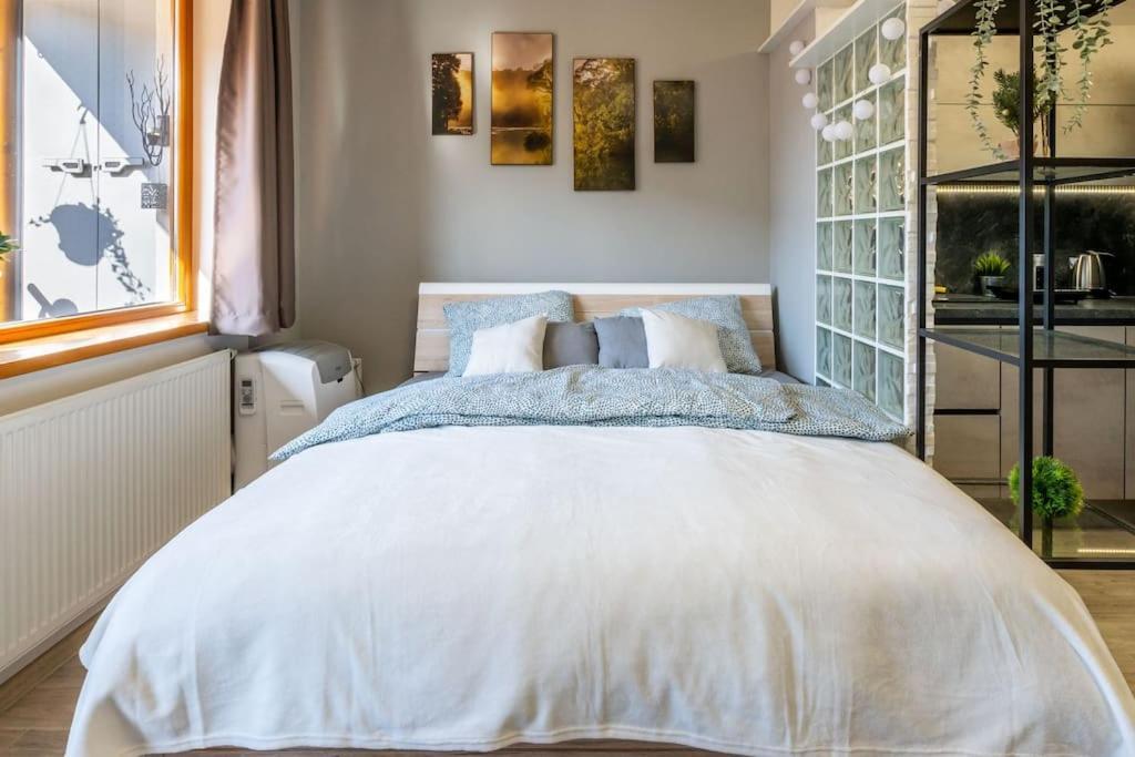 Apartman Strieborna V Centre Mesta Банска-Бистрица Экстерьер фото